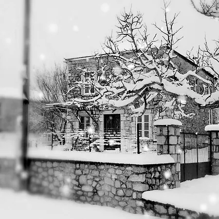 Angie's Stone House *